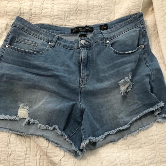 city chic denim shorts